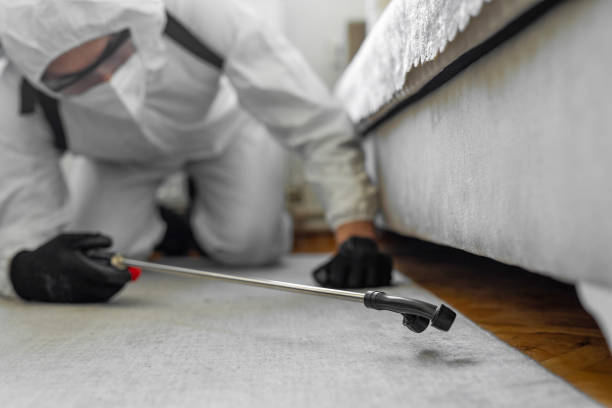 Professional Termite Control technician working in Murphysboro, IL