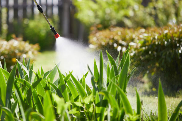 24/7 Emergency Termite Control experts in Murphysboro, IL