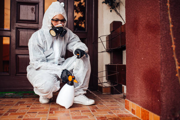 Reliable Termite Control contractor in Murphysboro, IL by Nex Pest Control